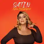 دانلود آهنگ آقا ببخشید از ستین